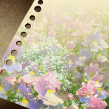 お花畑 ✼の画像(素材/ルーズリーフに関連した画像)