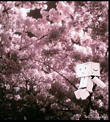 ダンボー夜桜の画像(ダンボー 壁紙に関連した画像)