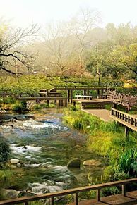 壁紙 日本庭園の画像2点 完全無料画像検索のプリ画像 Bygmo