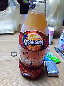 オランジーナ カシスオレンジの画像(カシスオレンジに関連した画像)