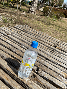 手摘みレモン水　公園　晴れの日の画像(手摘みレモンに関連した画像)