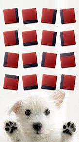 Iphone ホーム 壁紙 犬の画像8点 完全無料画像検索のプリ画像 Bygmo