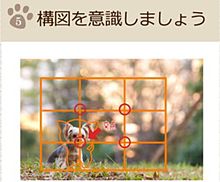 プロ直伝！愛犬を可愛く撮るガイド付きカメラアプリ『バウメモリー』の画像(カメラアプリ iphoneに関連した画像)