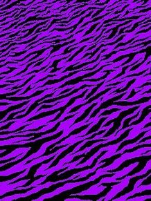 ゼブラ 壁紙 紫の画像5点 完全無料画像検索のプリ画像 Bygmo
