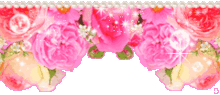 薔薇フレーム上の画像(ﾃﾞｺﾒ ﾌﾚｰﾑに関連した画像)