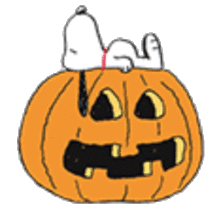 かぼちゃの画像(透明加工透過素材に関連した画像)