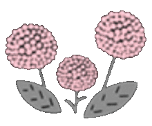 花の画像(ピンク透明加工透過素材に関連した画像)