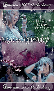 倖田來未 くぅちゃん 歌詞画 Black Cherryの画像(#cherryに関連した画像)
