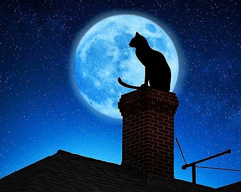 幻想的 猫 満月 シルエット 壁紙 完全無料画像検索のプリ画像 Bygmo