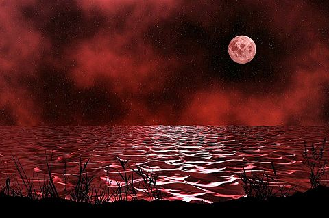 幻想的 神秘的 海 月 赤い 素材 壁紙 完全無料画像検索のプリ画像 Bygmo