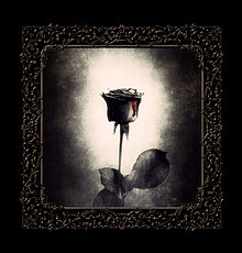 ゴシック 壁紙 薔薇の画像点 完全無料画像検索のプリ画像 Bygmo