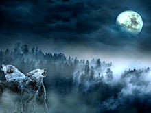 #幻想ファンタジー#幻想的#狼の画像(ファンタジーに関連した画像)
