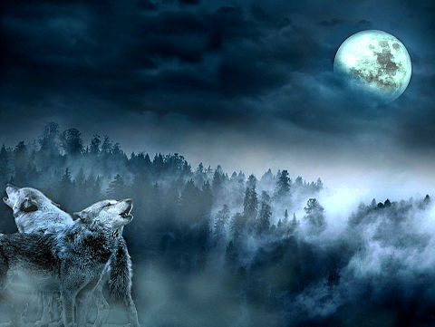 幻想的 月 狼の画像10点 完全無料画像検索のプリ画像 Bygmo