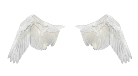 天使 羽の画像876点 完全無料画像検索のプリ画像 Bygmo