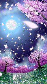 壁紙 桜 満月の画像7点 完全無料画像検索のプリ画像 Bygmo