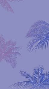 Phones WP Hawaiianの画像(ハワイ 紫 背景に関連した画像)