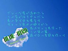 Bird Blue 歌詞画 浜崎あゆみの画像8点 完全無料画像検索のプリ画像 Bygmo