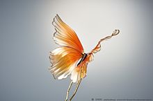 金魚蝶の画像(金魚に関連した画像)