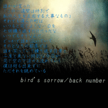 bird's sorrowの画像(bird'ssorrowに関連した画像)