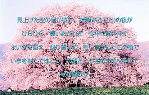 ﻿flumpool 今年の桜 4の画像(プリ画像)