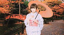 乃木坂46  和傘美人 ♡☂ 秋元真夏  京都の画像(京都に関連した画像)