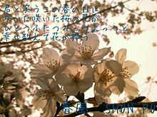 春風　SHUN PU　歌詞画