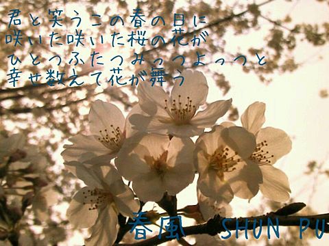 春風　SHUN PU　歌詞画の画像 プリ画像
