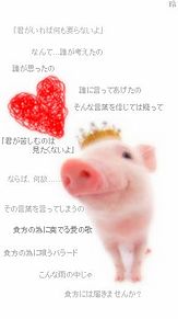 可愛い豚の画像1点 完全無料画像検索のプリ画像 Bygmo