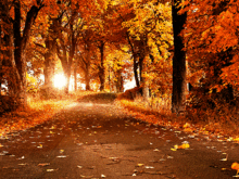 autumnの画像(もんどどに関連した画像)