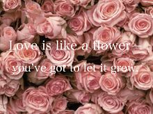 Love is like a flower ? …の画像(ジョンレノン 名言に関連した画像)