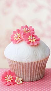 ピンクのケーキ プリ画像