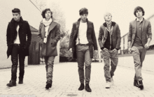 One Direction (GIF)の画像(LiamPayneに関連した画像)