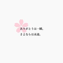 ありがとう ポエム 卒業 卒業式 桜の画像8点 完全無料画像検索のプリ画像 Bygmo