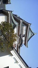 和歌山城(* ´∀｀)の画像(和歌山に関連した画像)