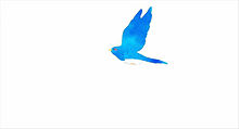 リズと青い鳥の画像(リズと青い鳥に関連した画像)