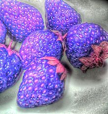 紫パープルピンク素材背景壁紙毒苺イチゴの画像(苺 壁紙に関連した画像)