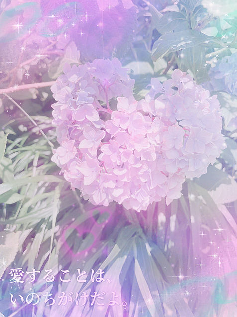 ハート 紫陽花の画像157点 完全無料画像検索のプリ画像 Bygmo