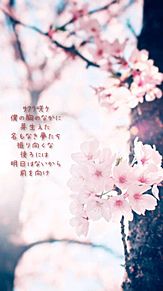 ｻｸﾗ咲ｹ プリ画像